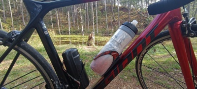 Λίμνη Ζορίκα