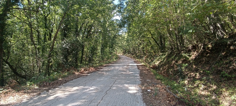 Κάπου στο Ανατολικό Ζαγόρι