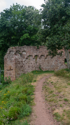 Vignoble et châteaux d'Ottrott - Ottrott - Photo 3