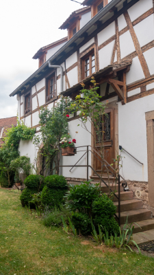 Vignoble et châteaux d'Ottrott - Ottrott - Photo 6