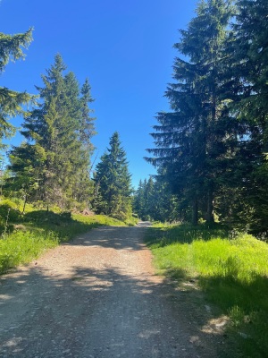 Photo prise liée au parcours