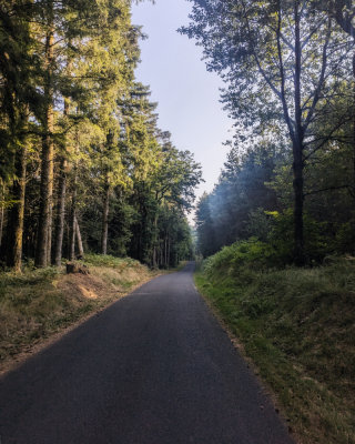 Photo prise liée au parcours