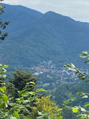 Zuber-Weierlé-Hundsruck