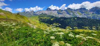 FTT - Les Terres Rouges AR - Le Grand-Bornand - Photo 4