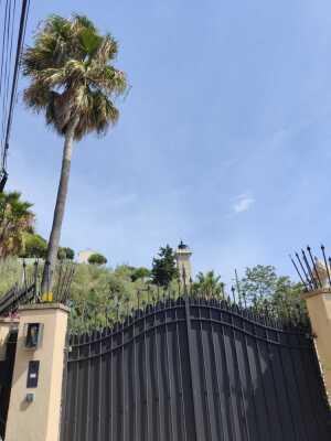 Cannes - Californie par la mer - Août - Cannes - Photo 7