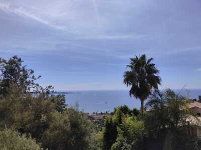 Cannes - Californie par la mer - Août - Cannes - Photo 8