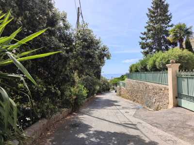 Cannes - Californie par la mer - Août - Cannes - Photo 14