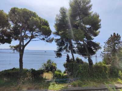 Cannes - Californie par la mer - Août - Cannes - Photo 16