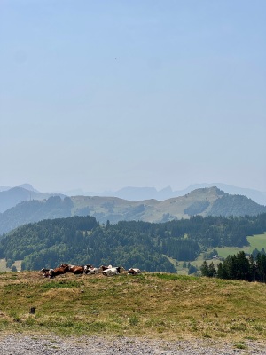 Chasser les cols du 74 - Mégevette - Photo 4