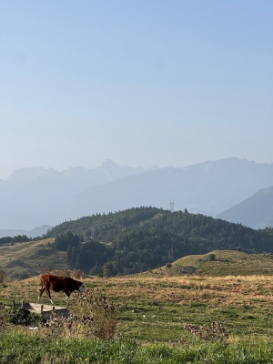 Chasser les cols du 74 - Mégevette - Photo 6