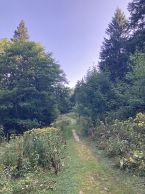 Bec de l’orient, Pas de la Clé, la Buffe, La Sure - Autrans-Méaudre en Vercors - Photo 1