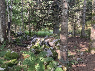 Bec de l’orient, Pas de la Clé, la Buffe, La Sure - Autrans-Méaudre en Vercors - Photo 5
