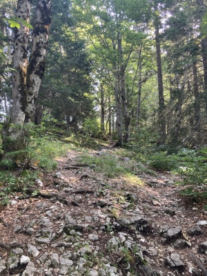 Bec de l’orient, Pas de la Clé, la Buffe, La Sure - Autrans-Méaudre en Vercors - Photo 6