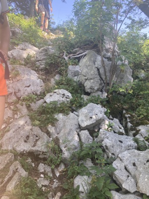 Bec de l’orient, Pas de la Clé, la Buffe, La Sure - Autrans-Méaudre en Vercors - Photo 8