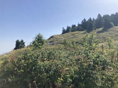 Bec de l’orient, Pas de la Clé, la Buffe, La Sure - Autrans-Méaudre en Vercors - Photo 9