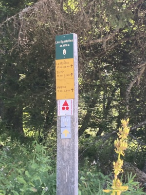 Bec de l’orient, Pas de la Clé, la Buffe, La Sure - Autrans-Méaudre en Vercors - Photo 17