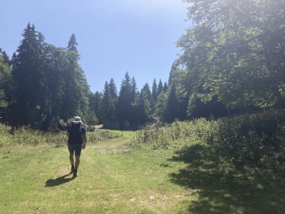 Bec de l’orient, Pas de la Clé, la Buffe, La Sure - Autrans-Méaudre en Vercors - Photo 18