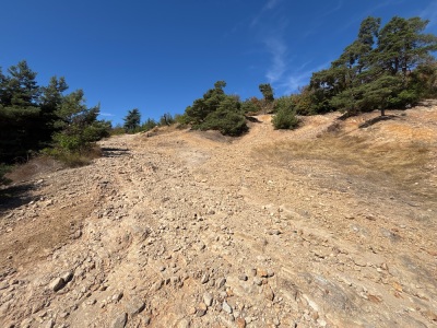 Combalat - Brossainc - Photo 10