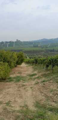 Photo prise liée au parcours