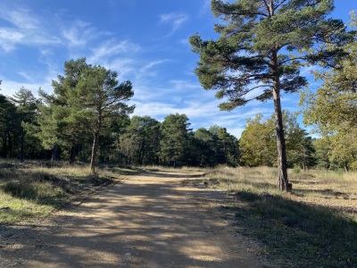 Photo prise liée au parcours