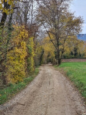 Photo prise liée au parcours