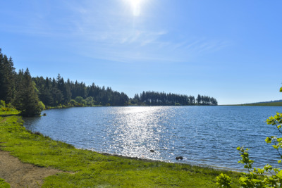 Lac  de Servière - Col de l'Ouïre - Orcival - Photo 1
