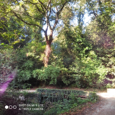 Photo prise liée au parcours