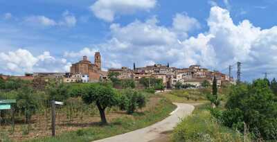 Cambrils Falset Porrera - Cambrils - Photo 2