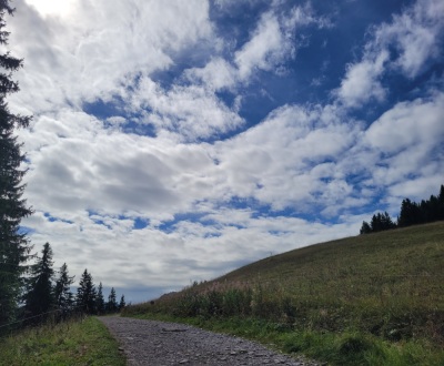 Photo prise liée au parcours