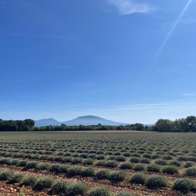 Jolie boucle au fil des lacs et des villages - Sainte-Croix-du-Verdon - Photo 1