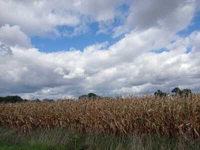 38 km M Buros Espechede Limendous du 24/09/2025