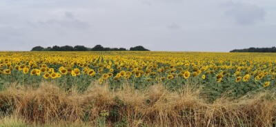 Photo prise liée au parcours