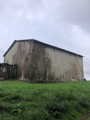 A servi de salle de bal, Jadis ...