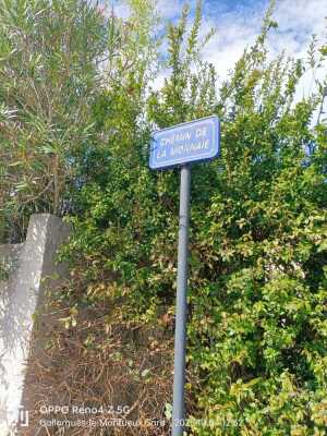 Photo prise liée au parcours
