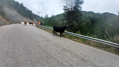 Photo prise liée au parcours