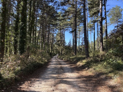 Photo prise liée au parcours