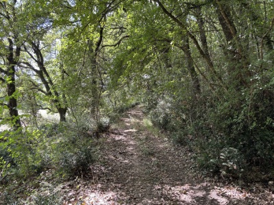 Photo prise liée au parcours