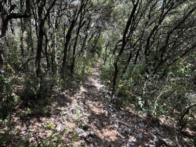 Photo prise liée au parcours