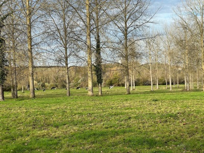 Photo prise liée au parcours