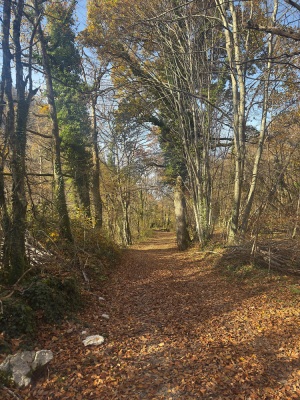 Photo prise liée au parcours