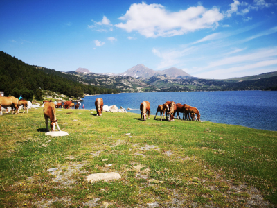 Lac des Bouillouses © ADT66