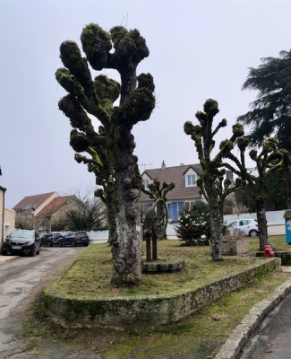 Photo prise liée au parcours