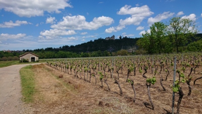 Photo prise liée au parcours