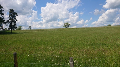 Photo prise liée au parcours