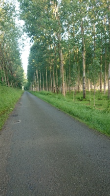 Photo prise liée au parcours