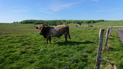 Photo prise liée au parcours