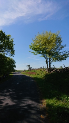 Photo prise liée au parcours