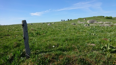 Photo prise liée au parcours