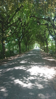Photo prise liée au parcours