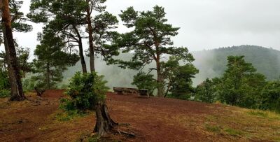 Tartarets -- Dent du Marais - Murol - Photo 2